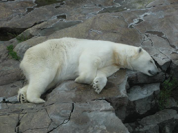 zoo 022.JPG